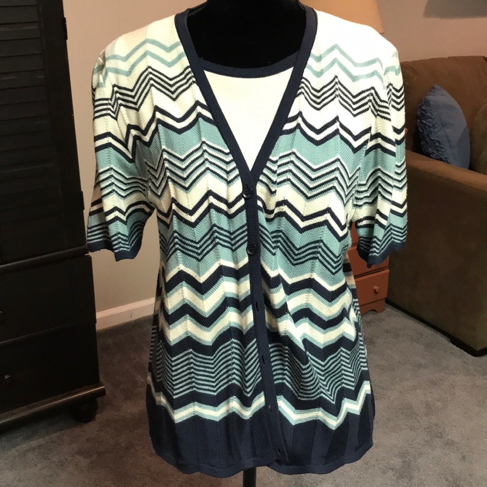 Alfred Dunner cardigan sweater.  Two piece look but one.